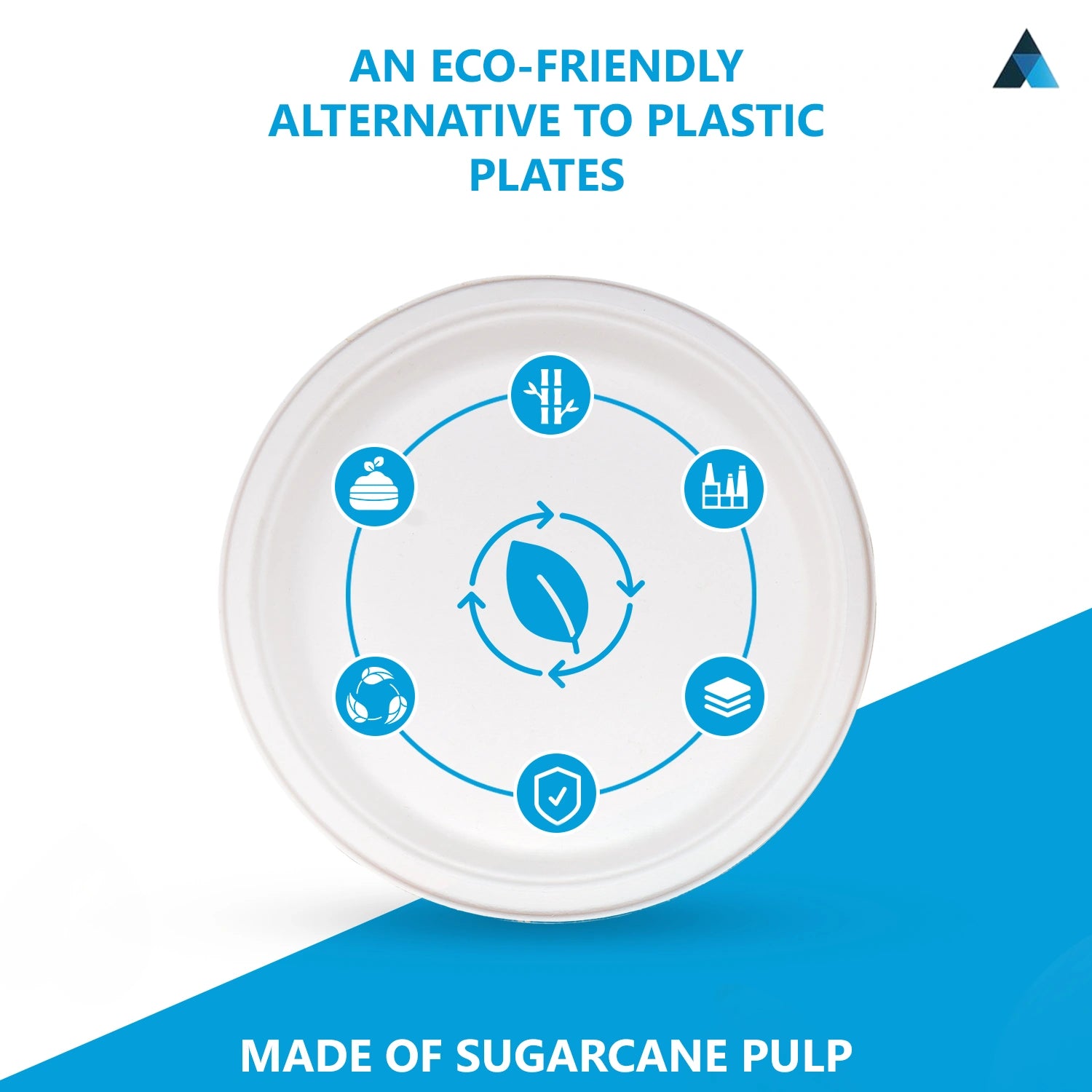 10 Inch Round Paper Bagasse Plates
