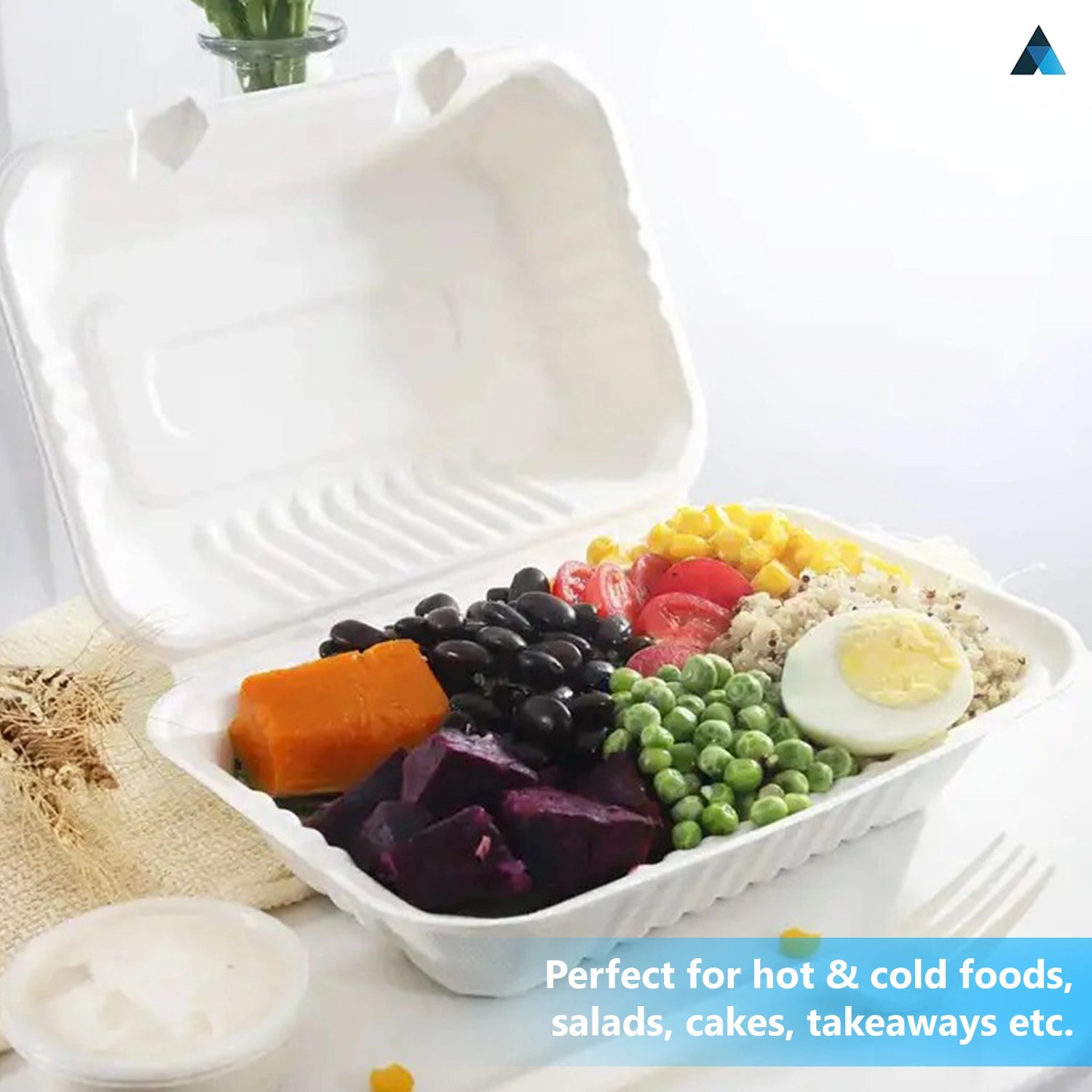 9x6 Inch Bagasse Clamshells Takeaway Box