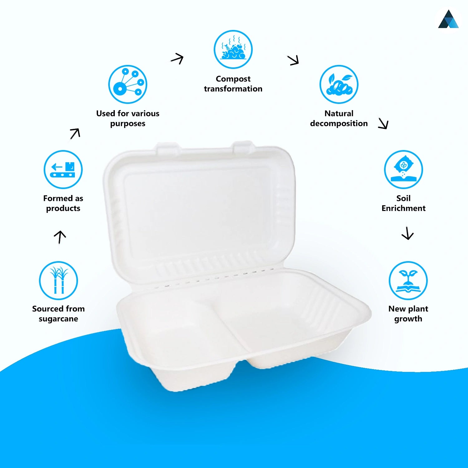 9x6 Inch Bagasse Clamshells 2 Compartment Takeaway Box