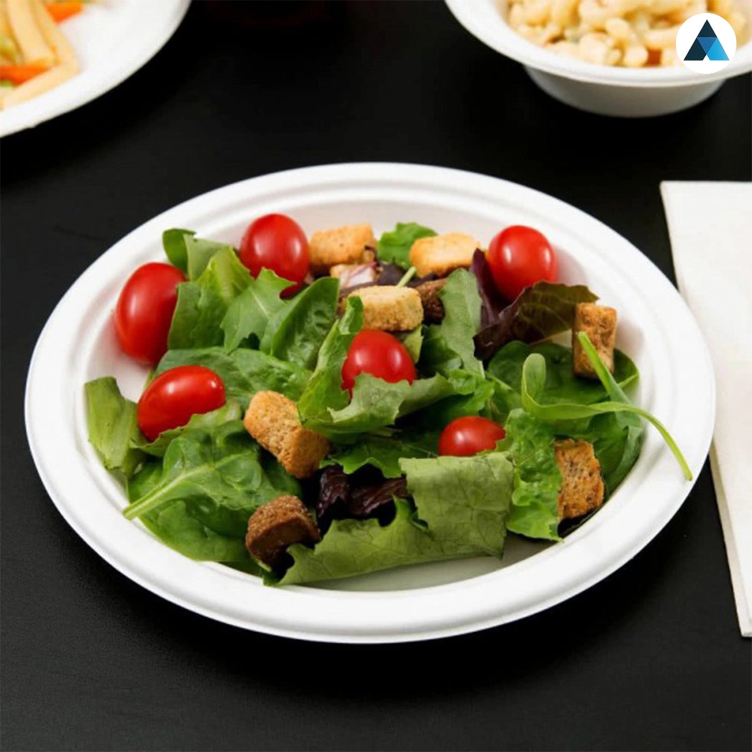 10 Inch Round Paper Bagasse Plates