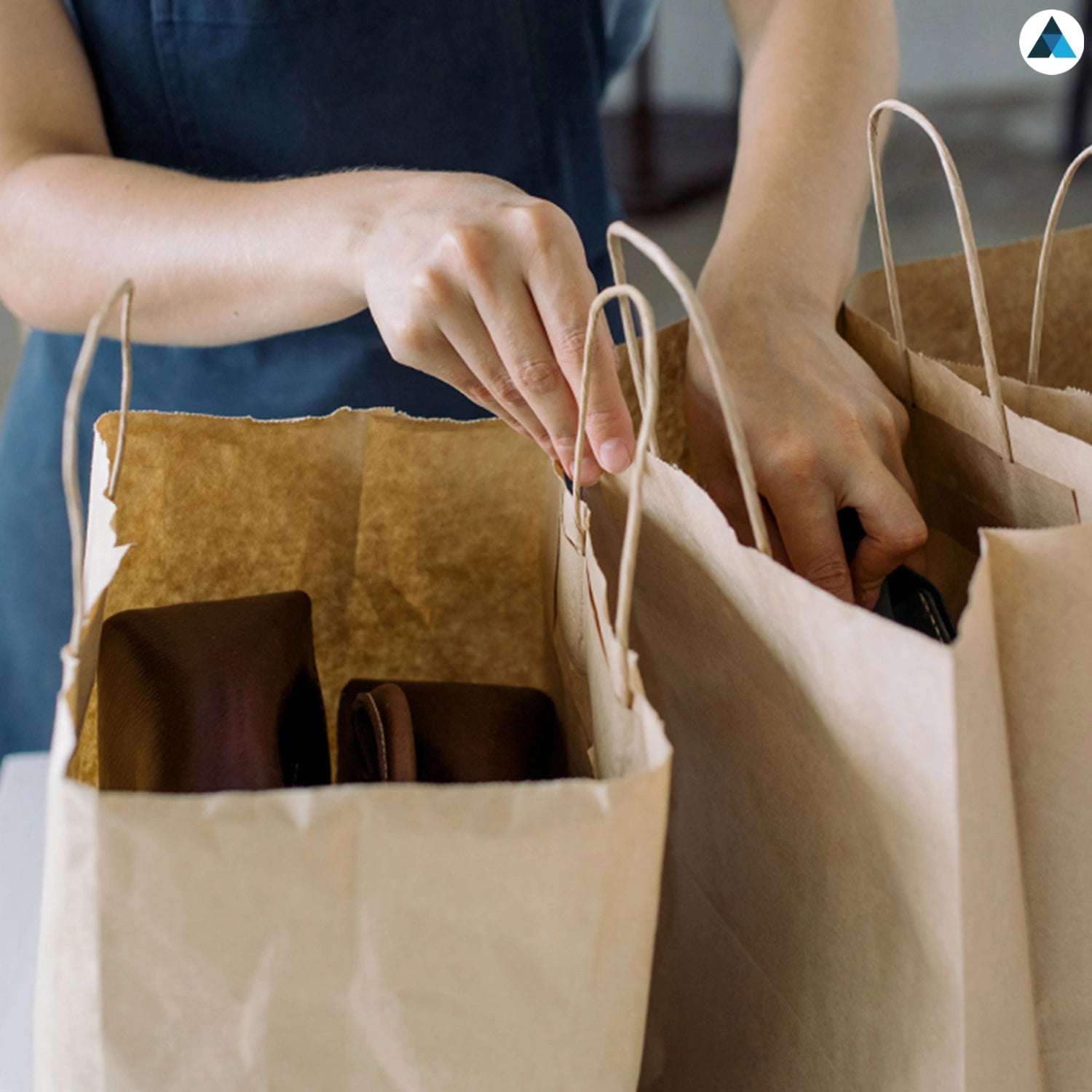 Medium Plus Brown Kraft Paper with Twist Handle Bags